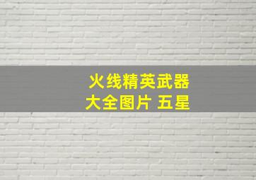 火线精英武器大全图片 五星